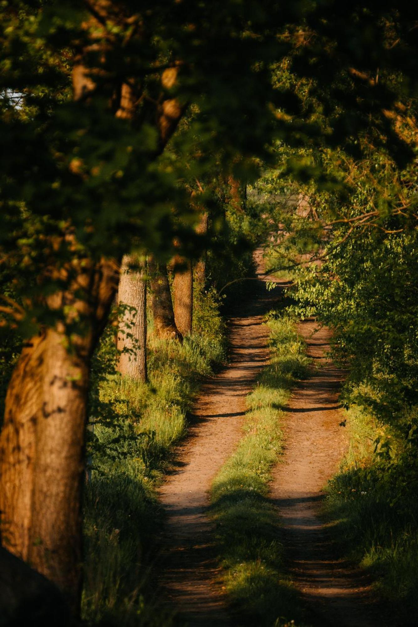 Palac Srodka Chrzypsko Wielkie ภายนอก รูปภาพ