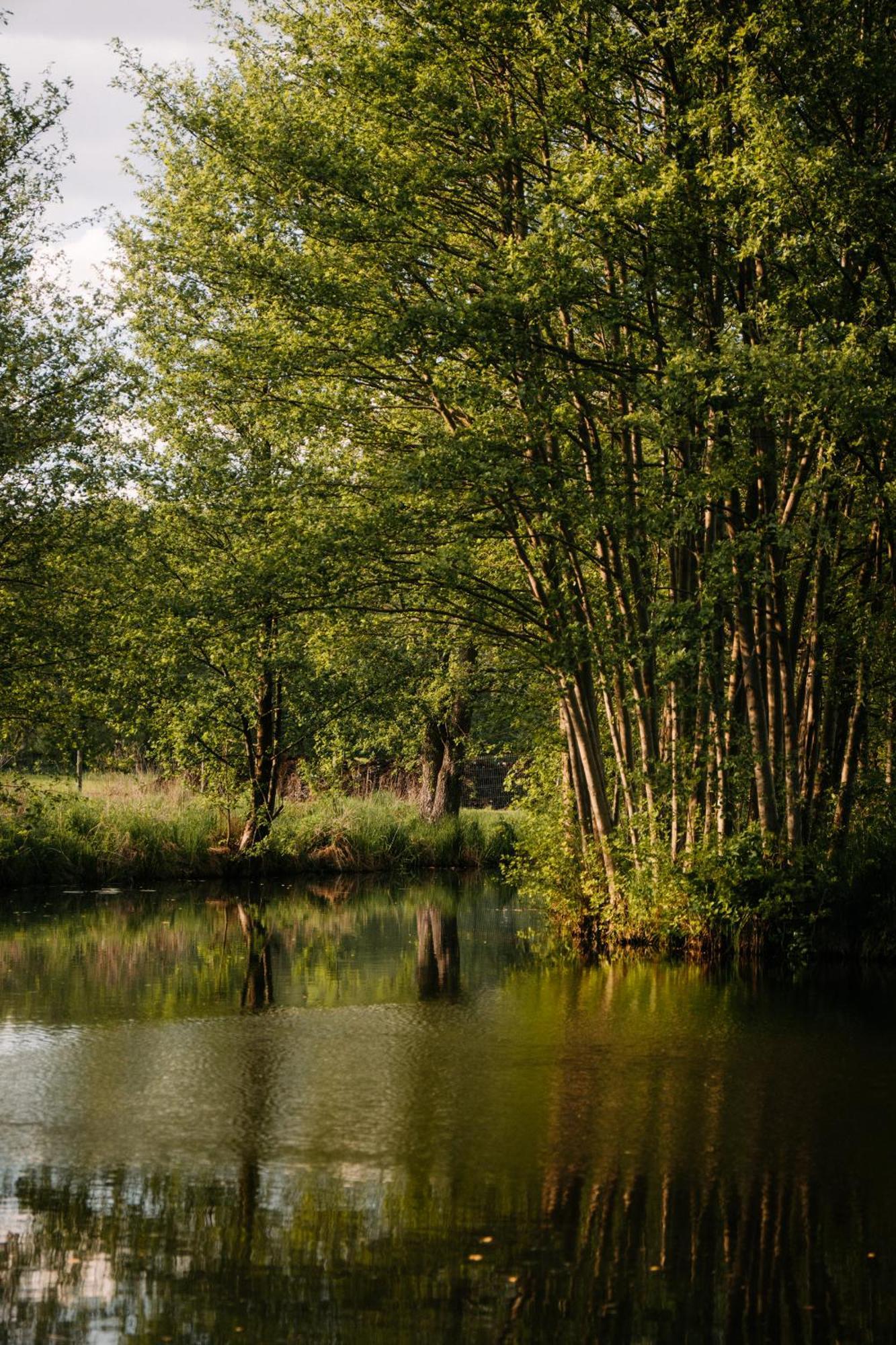 Palac Srodka Chrzypsko Wielkie ภายนอก รูปภาพ