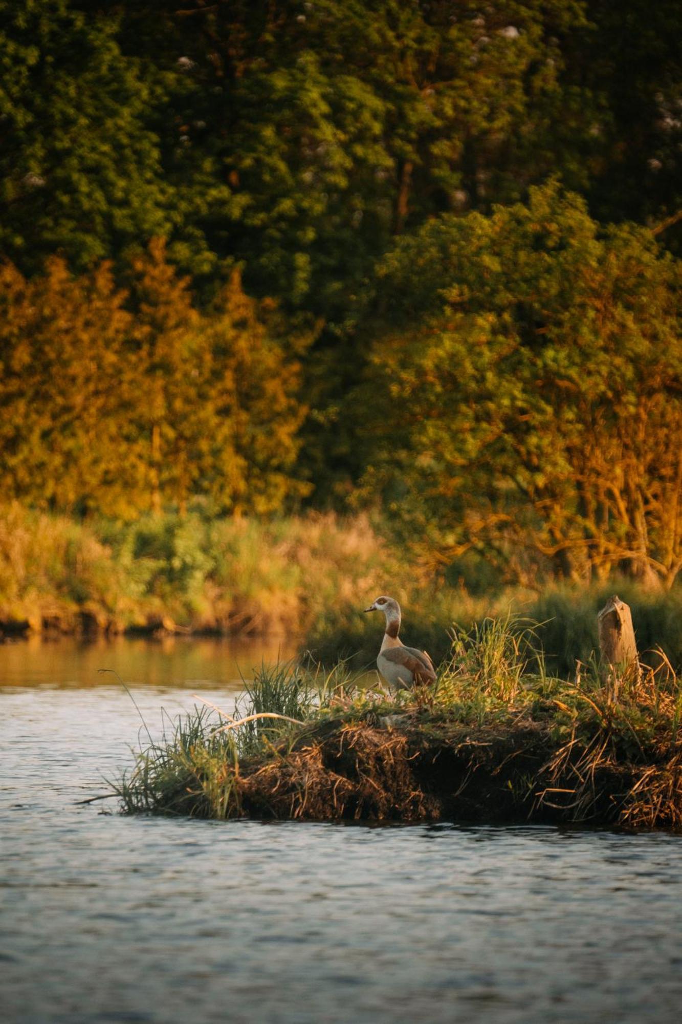 Palac Srodka Chrzypsko Wielkie ภายนอก รูปภาพ